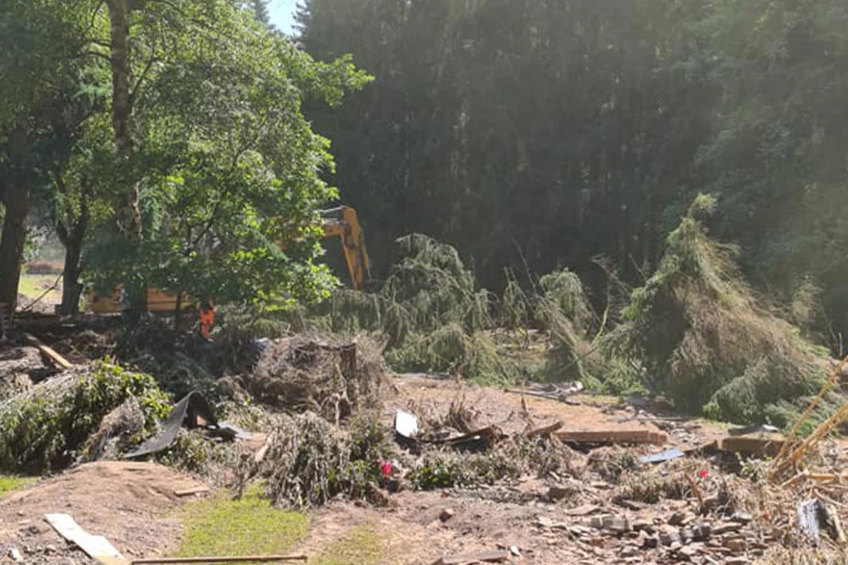 Forst und Gartenservice ProBaum