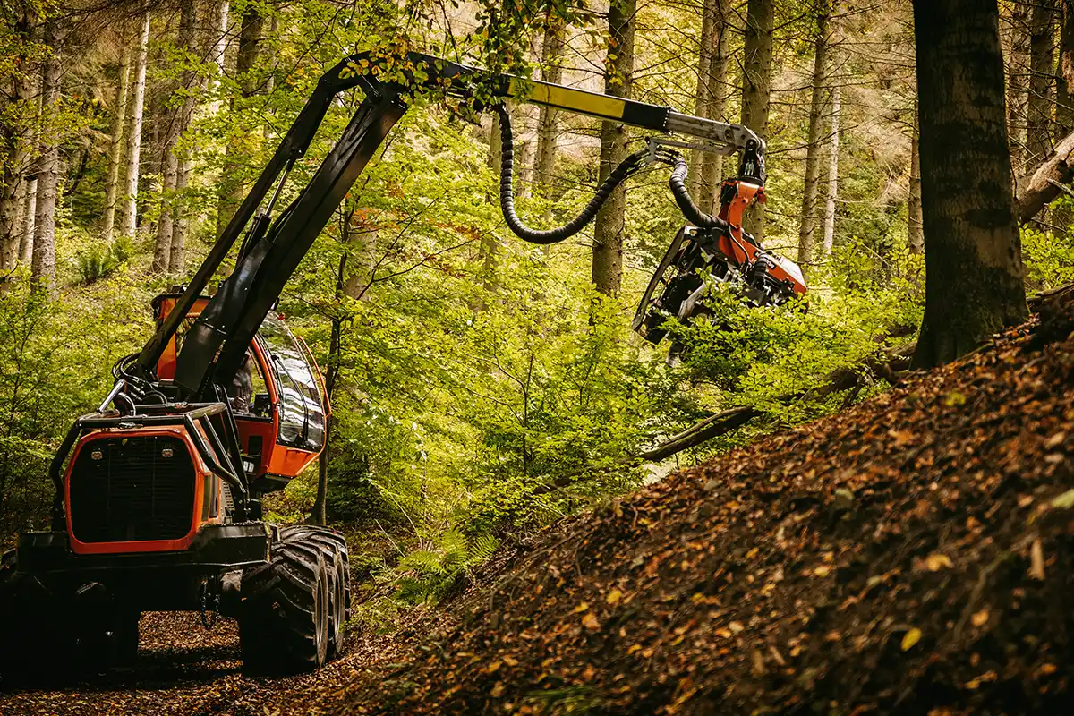 Forst und Gartenservice ProBaum