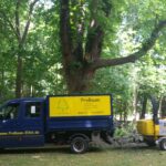 Baumpflege ProBaum Eifel