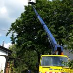 Baumpflege ProBaum Eifel