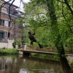 Baumpflege ProBaum Eifel