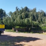 Baumpflege ProBaum Eifel