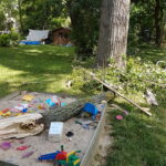 Baumpflege ProBaum Eifel