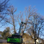 Baumpflege ProBaum Eifel