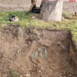 Baumkontrolle ProBaum Eifel