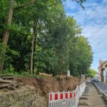 Baumpflege ProBaum Eifel Verkehrssicherheit