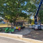 Baumpflege ProBaum Eifel