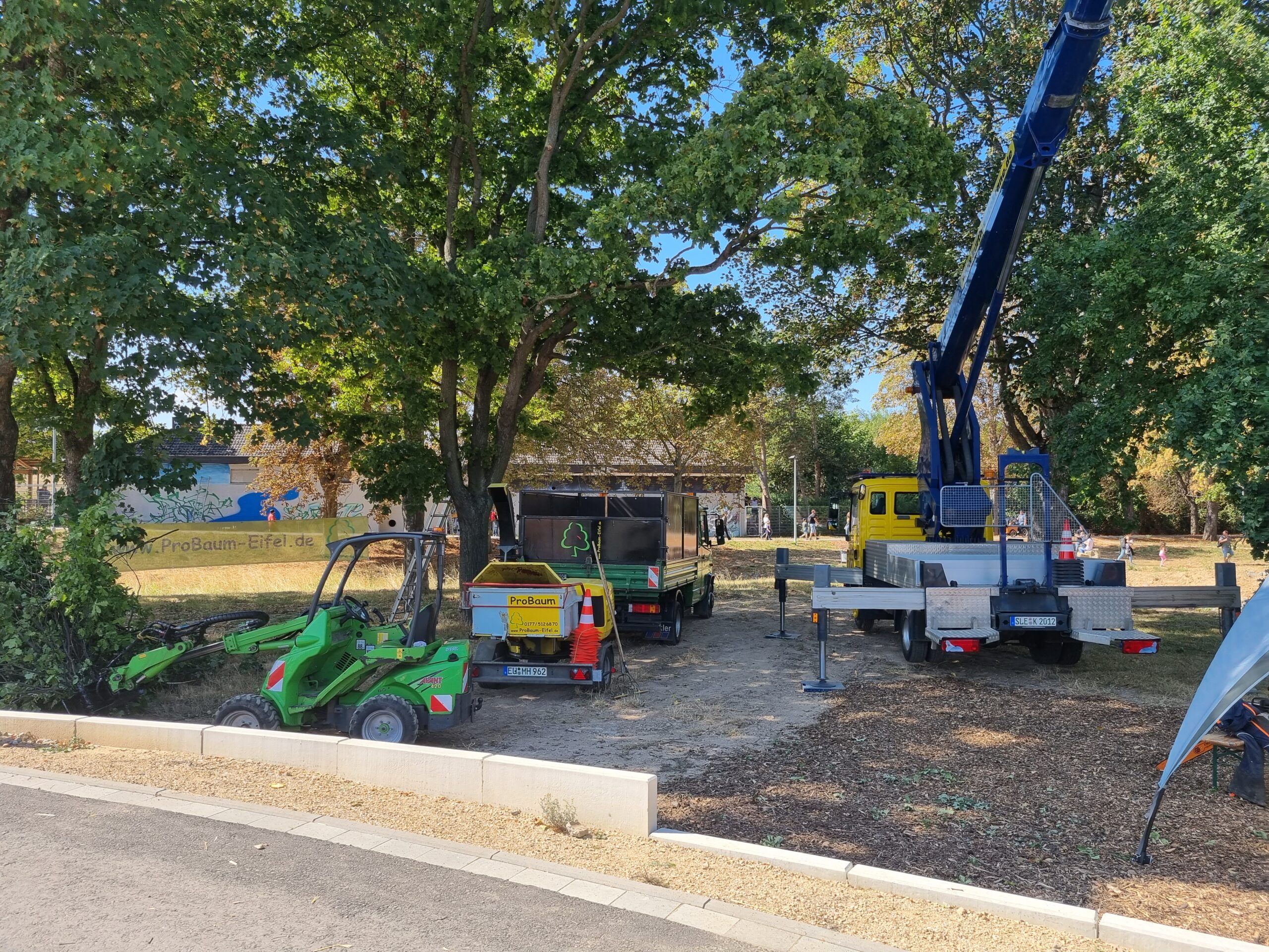 Baumpflege ProBaum Eifel