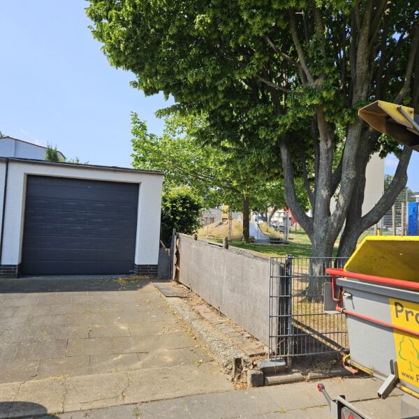 Baumpflege ProBaum Eifel