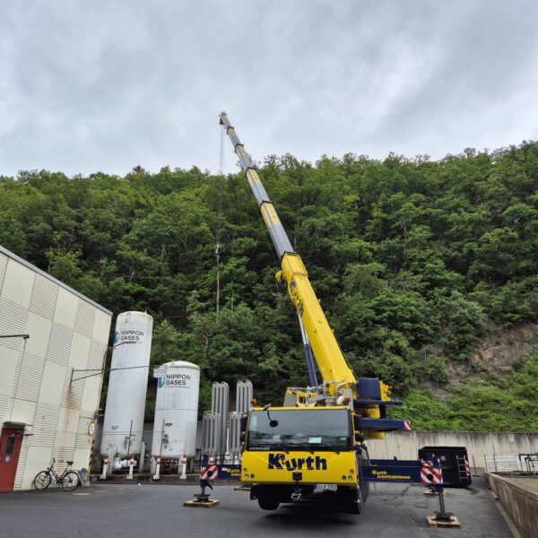 Baumpflege ProBaum Eifel