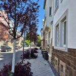 Baumpflege ProBaum Eifel