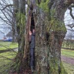 Baumkontrolle ProBaum Eifel