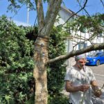 Baumkontrolle ProBaum Eifel