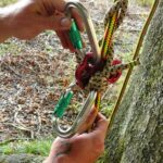 Seilklettertechnik ProBaum Eifel