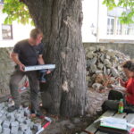 Baumkontrolle ProBaum Eifel