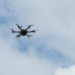 Baumkontrolle ProBaum Eifel