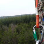 Seilklettertechnik ProBaum Eifel